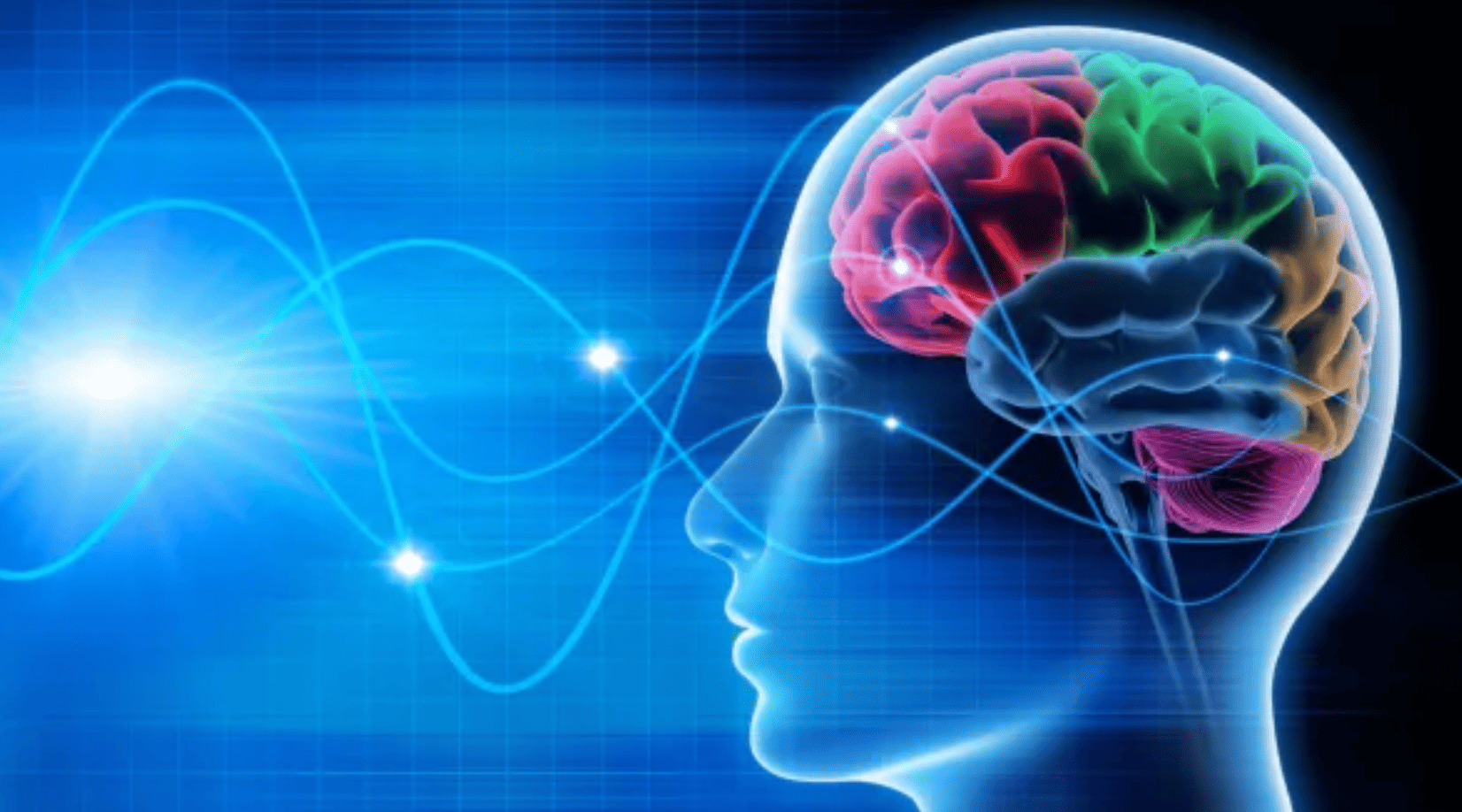 Wie unser Gehirn lernt, Fokus findet & Depressionen schneller behandelt werden können